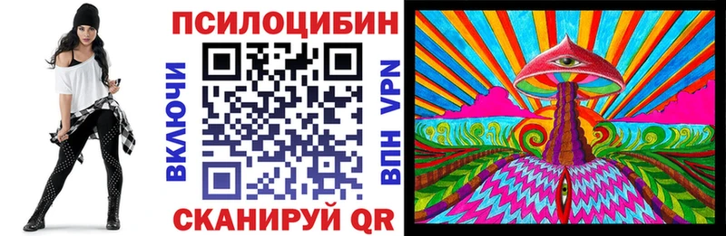 Купить  Ялуторовск  Галлюциногенные грибы MAGIC MUSHROOMS 