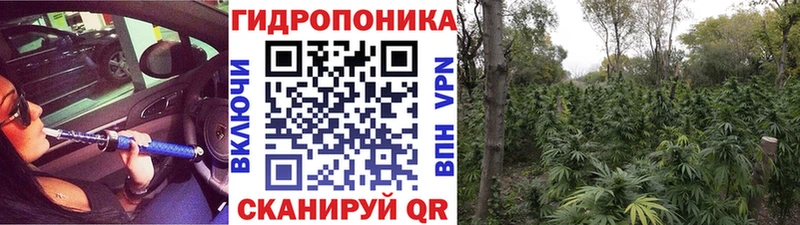 Конопля марихуана Ялуторовск